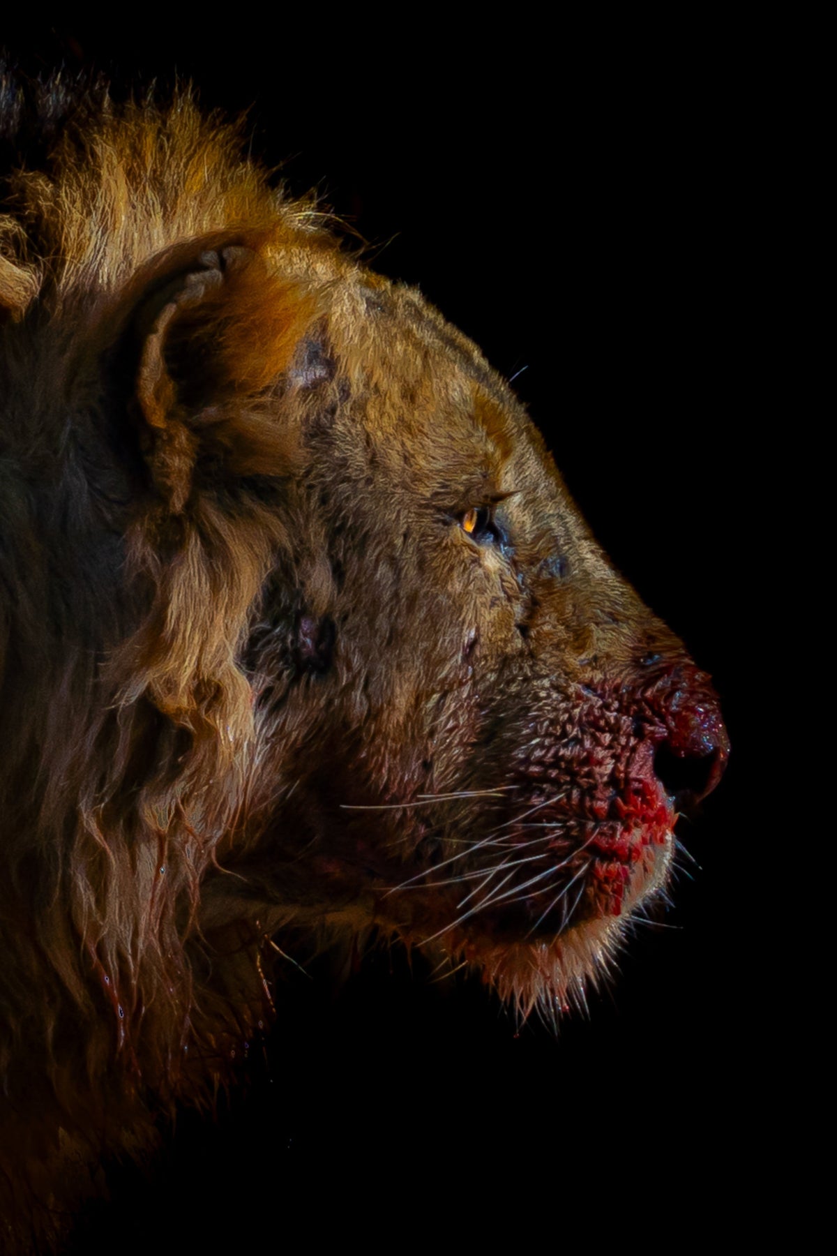 After the Hunt — original photograph